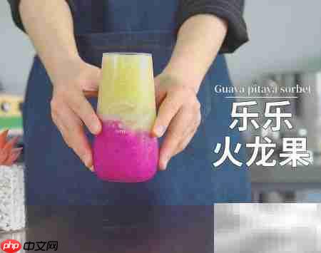 乐乐火龙果制作秘诀