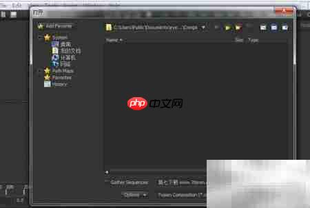 Fusion 5入门指南
