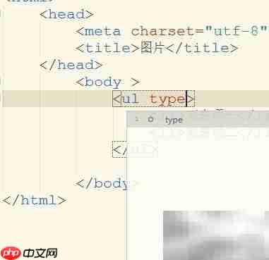ul列表type属性详解