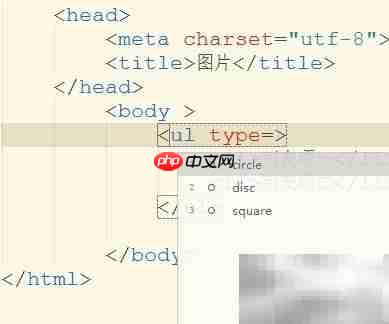 ul列表type属性详解