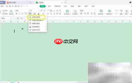 Mac WPS绘图边框擦除技巧