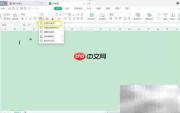 Mac WPS绘图边框擦除技巧