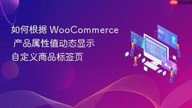 如何根据 WooCommerce 产品属性值动态显示自定义商品标签页
