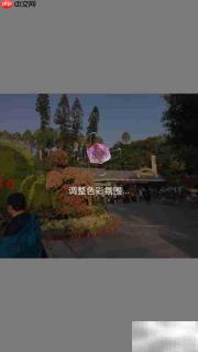 天天P图智能美化技巧