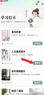开启人文素养打卡指南