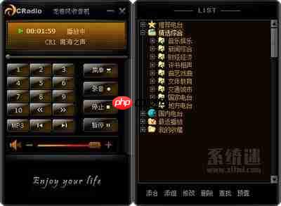 哪里能下载网络收音机官方正版安装包