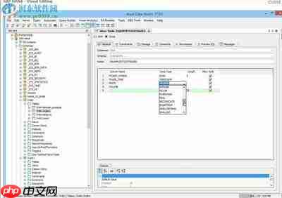 Aqua Data Studio如何修改服务器组