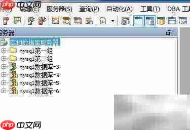 Aqua Data Studio如何修改服务器组