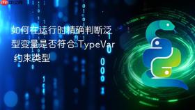如何在运行时精确判断泛型变量是否符合 TypeVar 约束类型