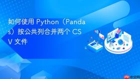 如何使用 Python（Pandas）按公共列合并两个 CSV 文件