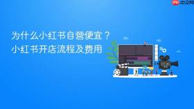 为什么小红书自营便宜?小红书开店流程及费用