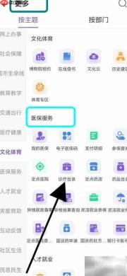 灵犀查看诊疗目录方法