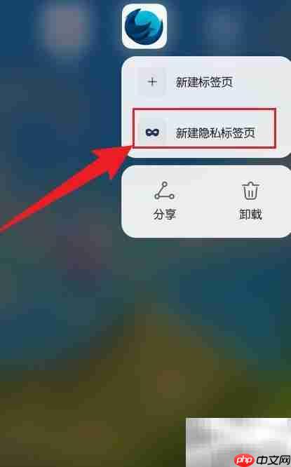 Iceraven如何新建隐私标签