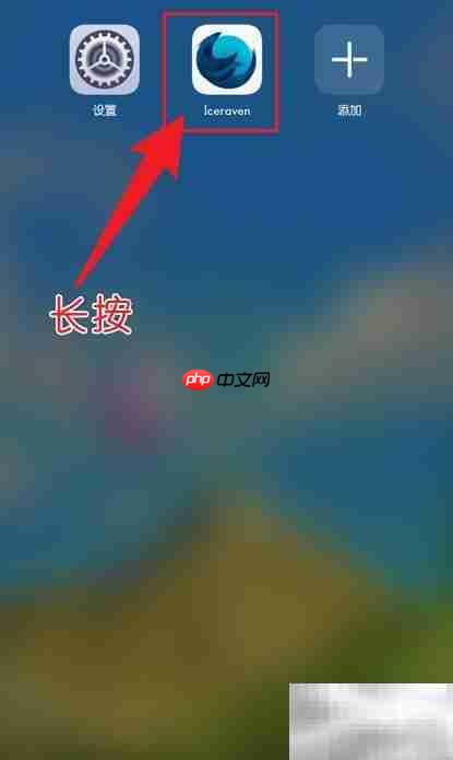 Iceraven如何新建隐私标签