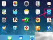 iPad Mini软件下载安装指南