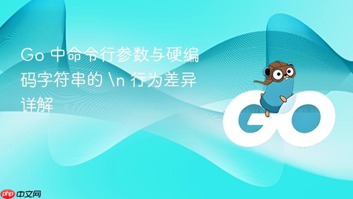 Go 中命令行参数与硬编码字符串的
行为差异详解
