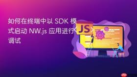 如何在终端中以 SDK 模式启动 NW.js 应用进行调试
