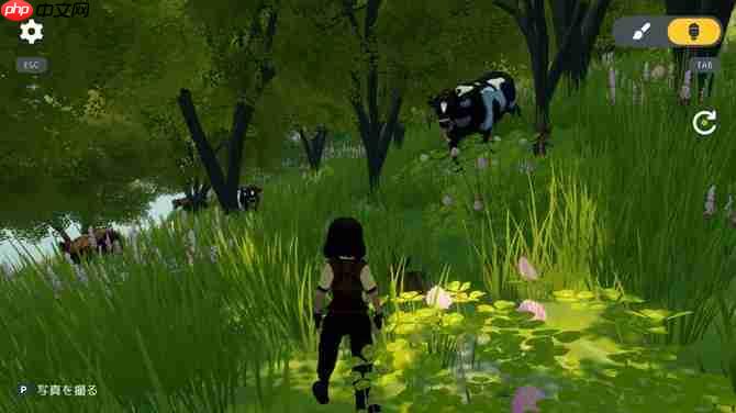 《Cozy Country》登陆Steam 温馨治愈个人地盘打造模拟