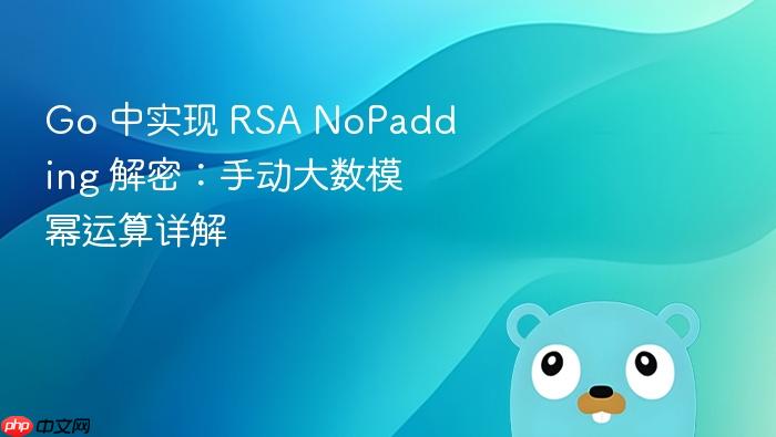Go 中实现 RSA NoPadding 解密:手动大数模幂运算详解