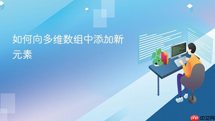 如何向多维数组中添加新元素
