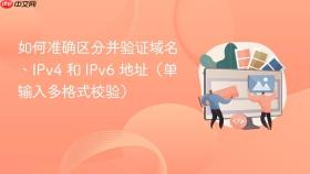 如何准确区分并验证域名、IPv4 和 IPv6 地址（单输入多格式校验）