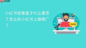 小红书惊喜盒子什么意思？怎么在小红书上做推广？