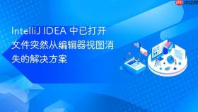 IntelliJ IDEA 中已打开文件突然从编辑器视图消失的解决方案