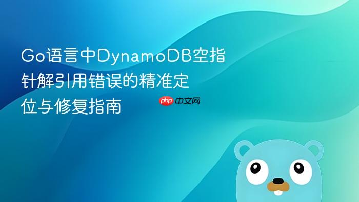 Go语言中DynamoDB空指针解引用错误的精准定位与修复指南