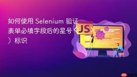 如何使用 Selenium 验证表单必填字段后的星号()标识