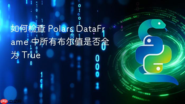 如何检查 Polars DataFrame 中所有布尔值是否全为 True