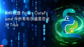 如何检查 Polars DataFrame 中所有布尔值是否全为 True