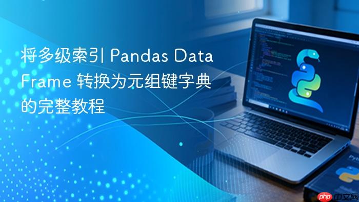 将多级索引 Pandas DataFrame 转换为元组键字典的完整教程
