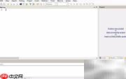 Flash Develop字体大小设置技巧