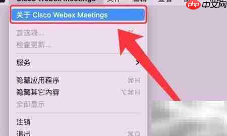 如何查看Webex Meetings版本