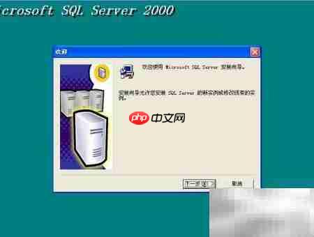 SQL2000及SP4安装指南