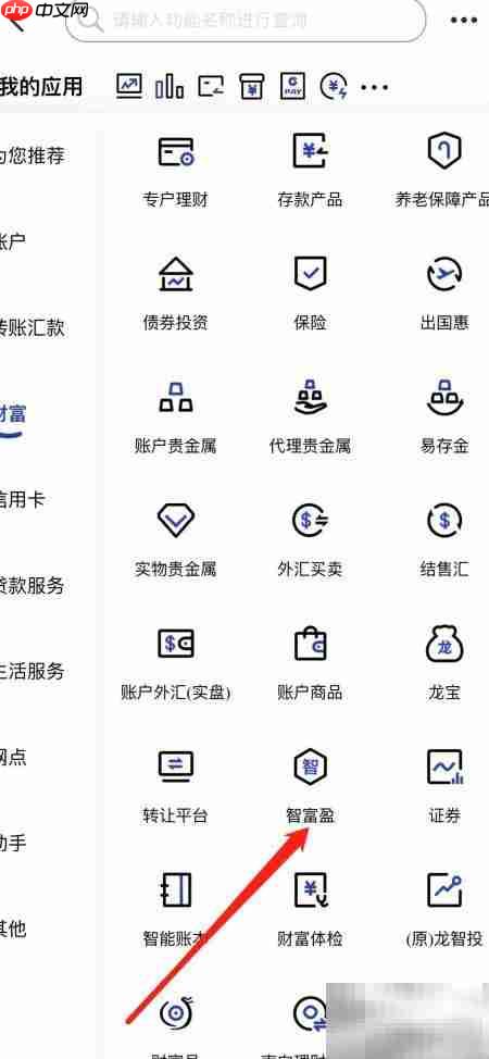 建行智富盈查询指南