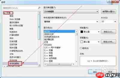 Visual Studio如何用代码修改网页文本字体和粗细