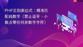 PHP正则表达式：精准匹配纯数字（禁止逗号、小数点等任何非数字字符）