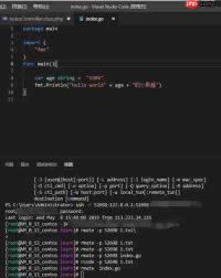 Visual Studio Code如何修改编辑器配色