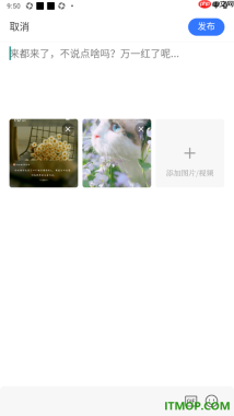 腾讯新闻手机版设置发布图文动态或者是视频动态的方法