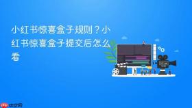小红书惊喜盒子规则？小红书惊喜盒子提交后怎么看