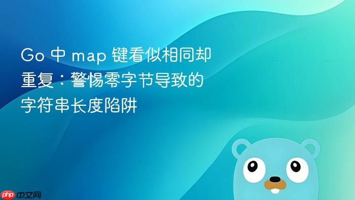Go 中 map 键看似相同却重复:警惕零字节导致的字符串长度陷阱