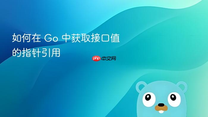 如何在 Go 中获取接口值的指针引用