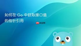 如何在 Go 中获取接口值的指针引用
