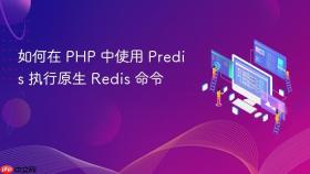 如何在 PHP 中使用 Predis 执行原生 Redis 命令