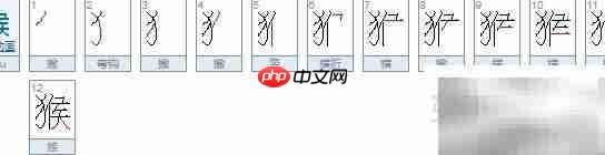 猴字笔顺详解