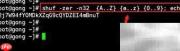 Linux生成随机字符串方法