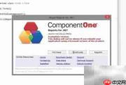 揭秘ComponentOne授权文件