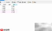 Smartbi组合分析报表创建指南