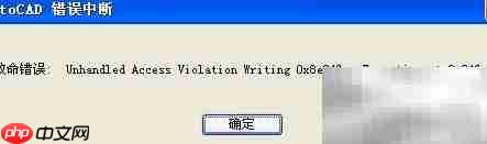 解决访问违规写入错误